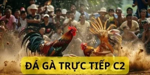 đá gà trực tiếp c2