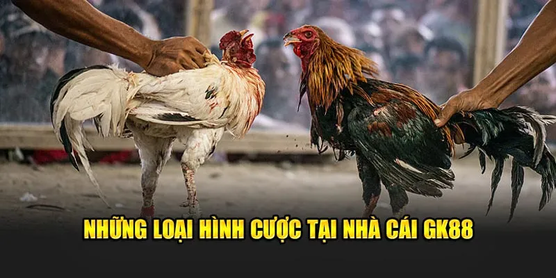 Những loại hình cược tại nhà cái GK88